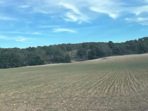Terreno en Hellín