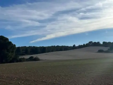 Terreno en Hellín