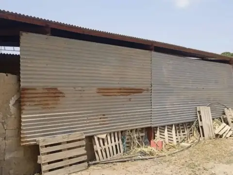 Nave industrial en calle Camino Rambla de Purias, 2