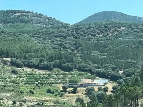 Terreno en Vianos