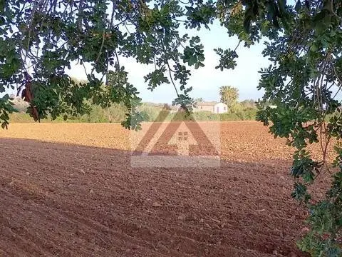 Terreno en Manacor