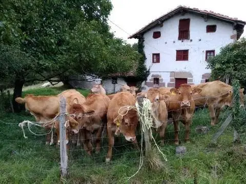 Casa rústica en Gautegiz Arteaga