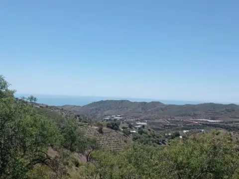 Terreno en calle Ma-3118