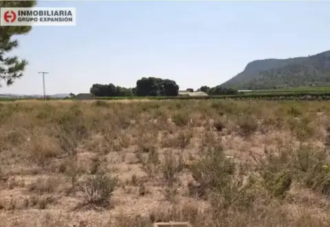 Terreno en Aspe