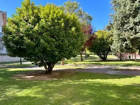 Piso en Las Matillas in Las Matillas (Miranda de Ebro) · Miranda de Ebro