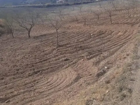 Terreno en calle A-91, 85