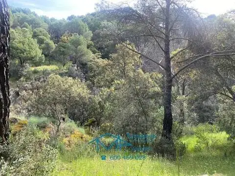 Terreno en Cebreros