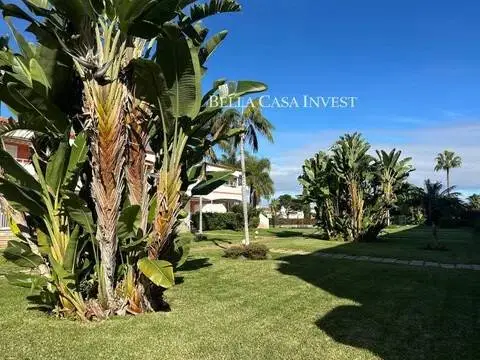 Piso – Puerto de la Cruz