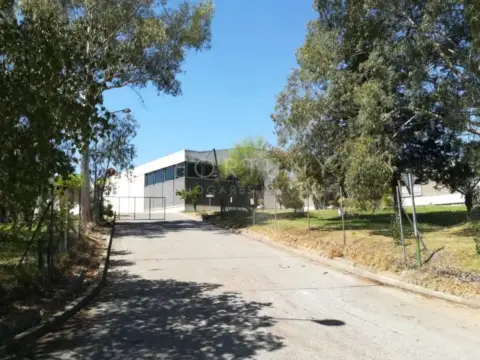 Nave industrial en Puertosol-El Limonero-El Tomillar