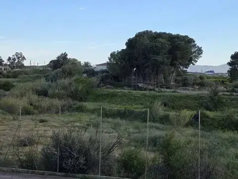 Terreno en calle Diseminado Cm Gloria, 5