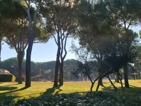 Terreno en Tordesillas