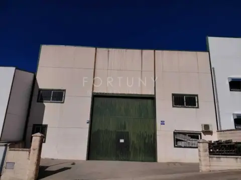 Nave industrial en calle Manuel Altolaguirre