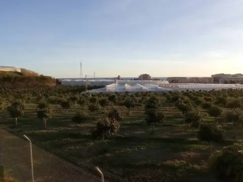 Terreno en calle Carretera A Finca La Mayora
