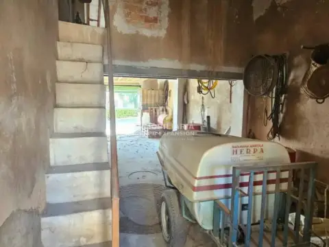 Local comercial en Algueña