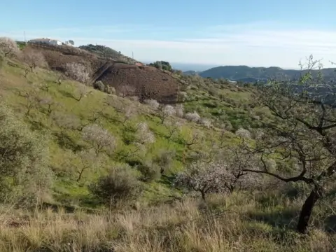 Terreno en Vélez-Málaga