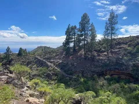 Terreno en Granadilla de Abona