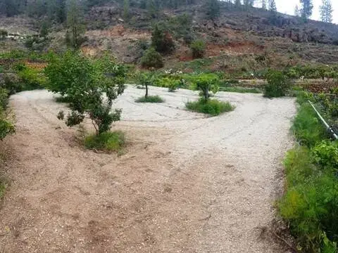 Terreno en calle Azebuche No Number