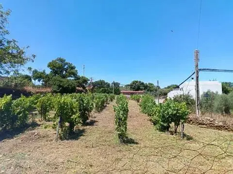 Chalet en Perales del Puerto