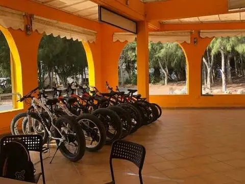 Local comercial en calle El Palmeral No Number