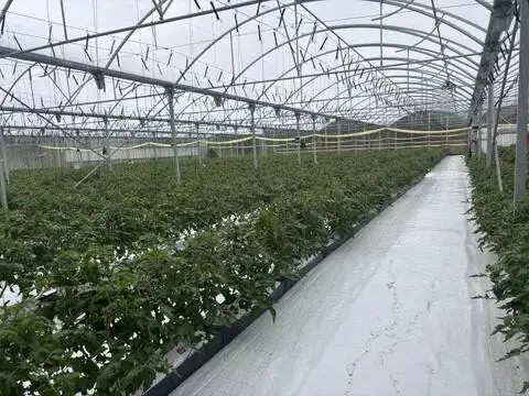 Terreno en calle Carretera Bilbo, 50 B