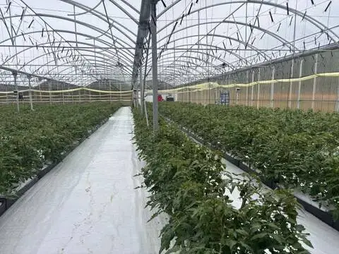 Terreno en calle Carretera Bilbo, 50 B