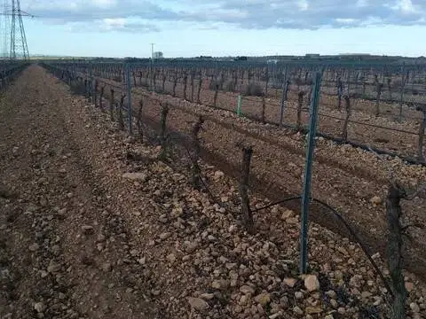 Terreno en Tomelloso
