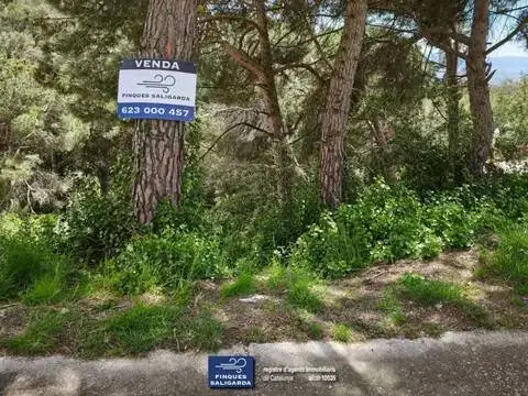 Terreno en El Pinar i El Portus