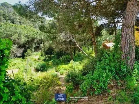 Terreno en El Pinar i El Portus