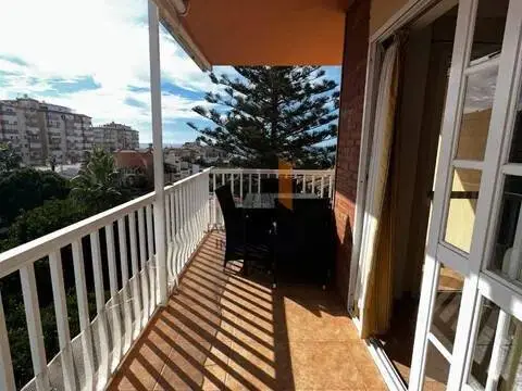 Piso en Avenida de las Palmeras