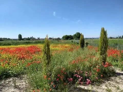 Terreno en Roa