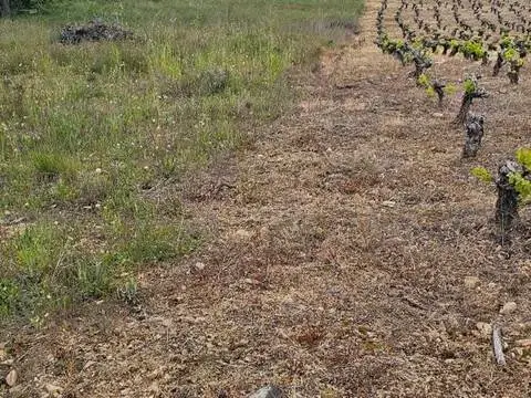 Terreno en Flores del Sil-La Martina