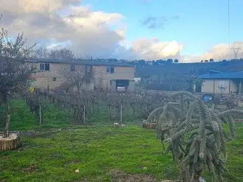 Terreno en Flores del Sil-La Martina