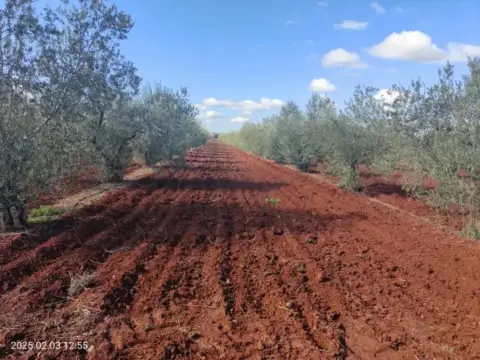Terreno en calle de Espronceda