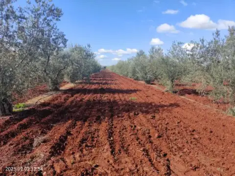 Terreno en calle de Espronceda