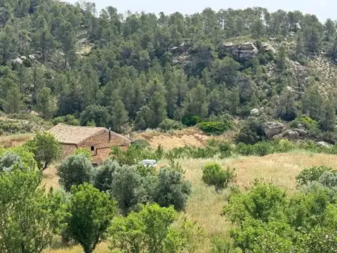 Terreno en Mazaleon