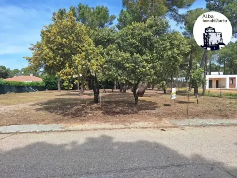 Terreno en calle de los Almendros