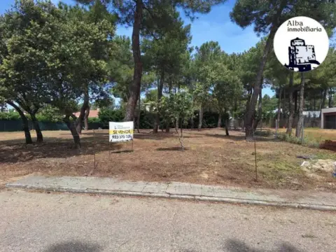 Terreno en calle de los Almendros