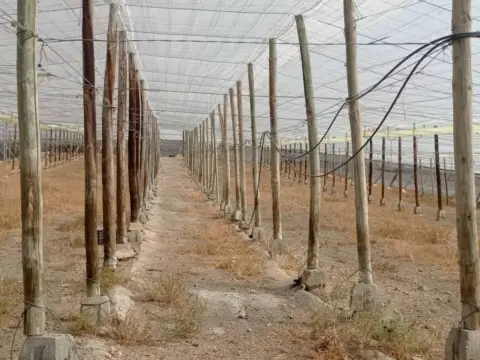Terreno en Lobres