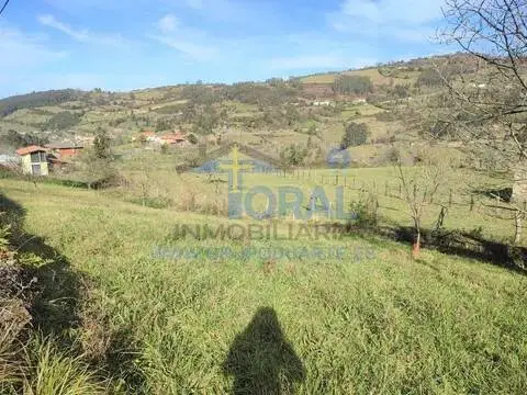 Terreno en calle As-377, 8016