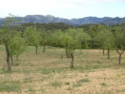 Casa rústica en Cretas