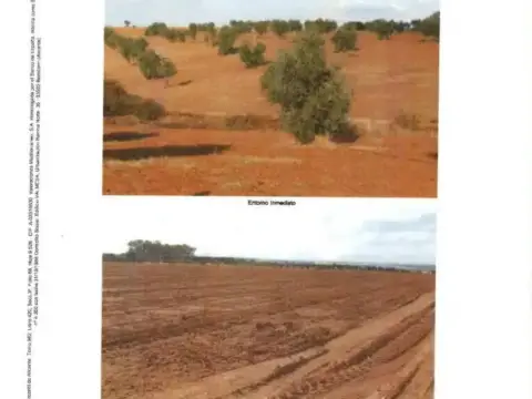 Terreno en calle N-A, -1