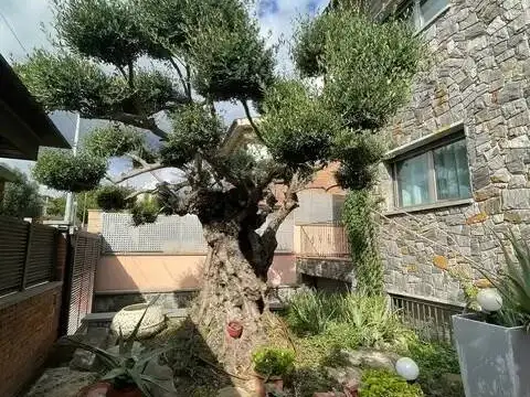 Chalet en Viladecavalls