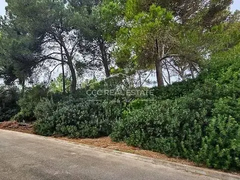Terreno en Manacor