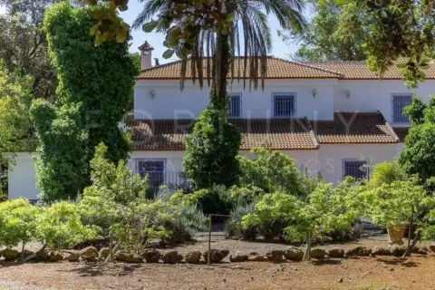 Casa rústica en Avenida del Llano de Pablo Picasso