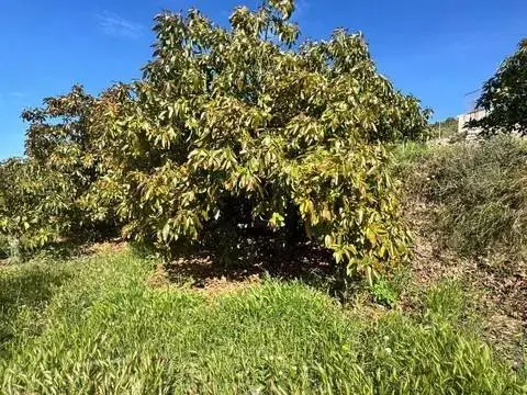 Terreno en Molvízar