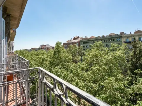 Piso en El Camp d'en Grassot-Gràcia Nova