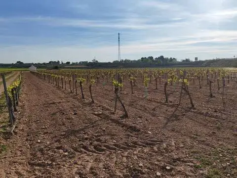 Terreno en Manzanares