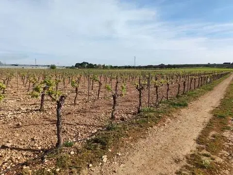 Terreno en Manzanares
