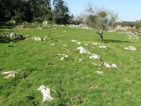 Terreno en calle Pidal