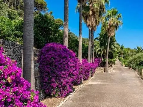 Casa rústica en Sóller